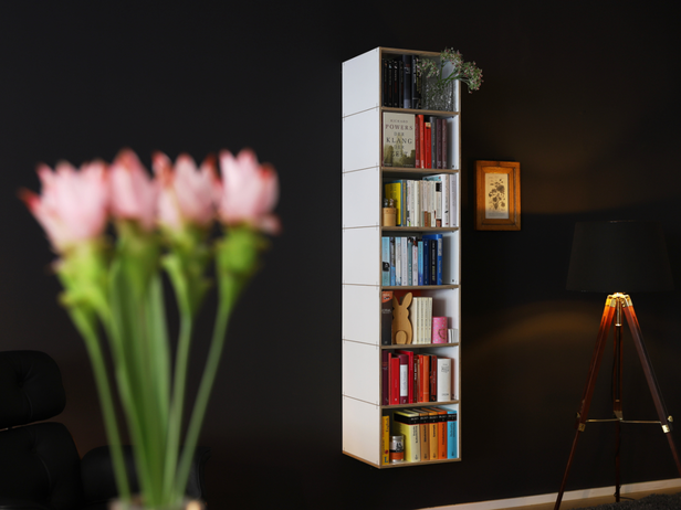 Hängeregal Potsdam | Lass Bücher schweben